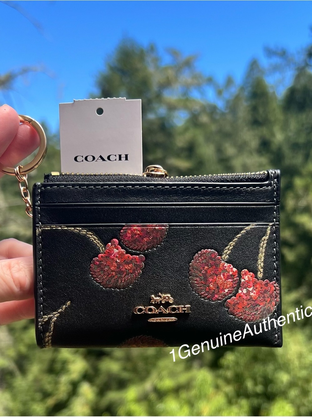 COACH Mini Skinny Id Case Cardholder Keychain Wallet w Cherry Print CDF83 NWT
